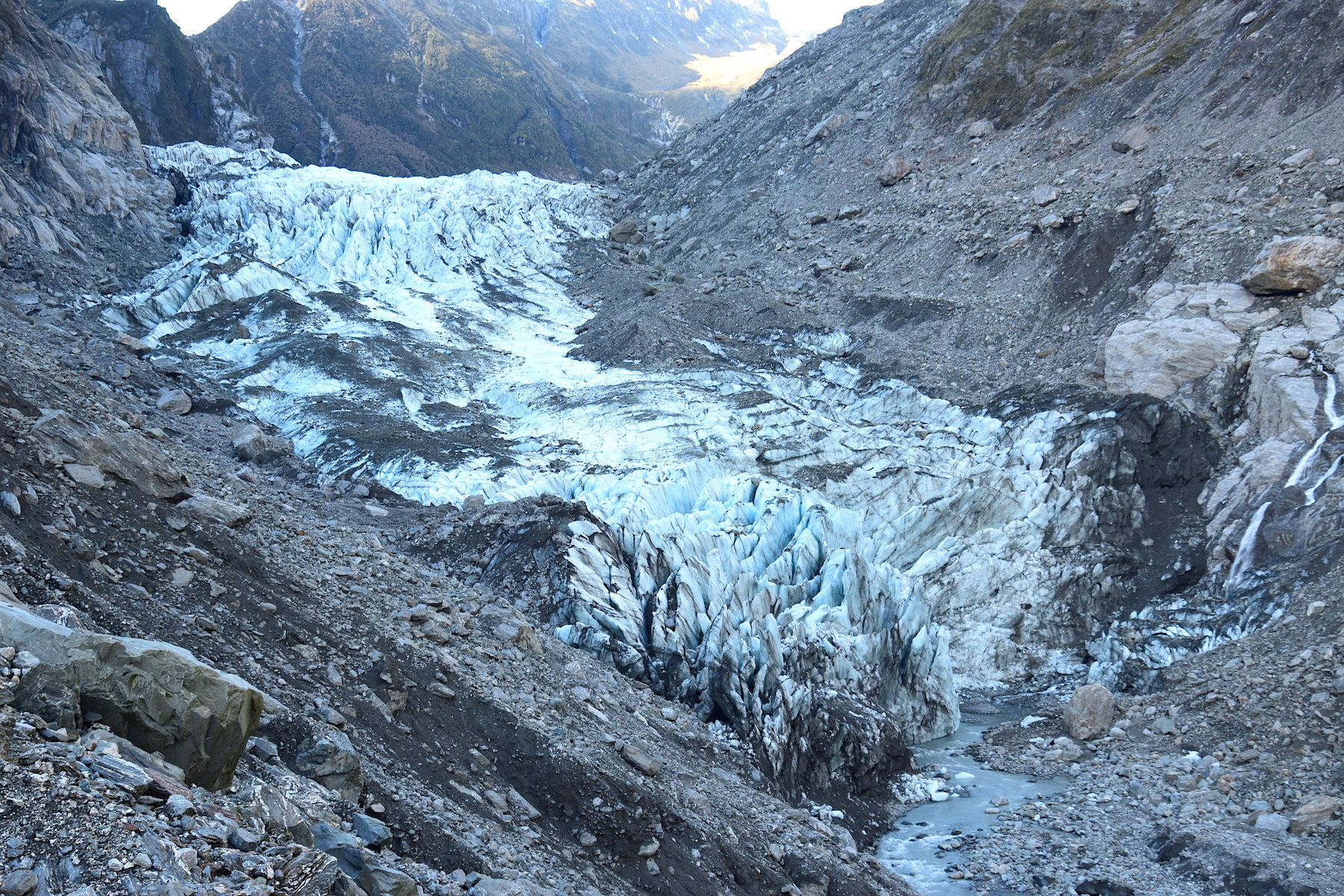 Fox Glacier